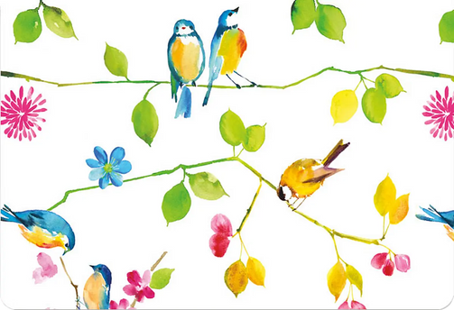 Peter Pauper Watercolor Birds Notitiekaarten 14 stuks