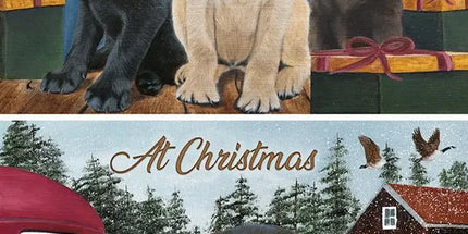 Assortidozen met dubbele kerstkaarten - Langstore