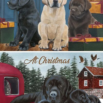 Assortidozen met dubbele kerstkaarten - Langstore