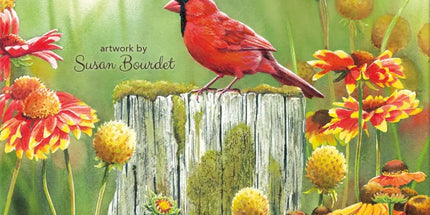 Thema Volgels - Langstore