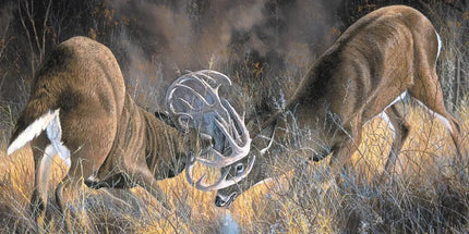 Thema Wildlife / Buitenleven - Langstore