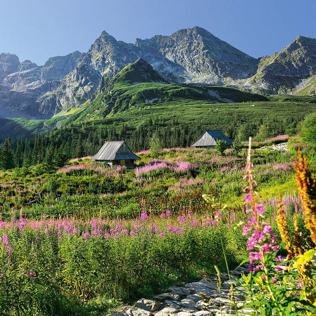 CherryPazzi Gasienicowa hall in Tatras Puzzel 1000 Stukjes