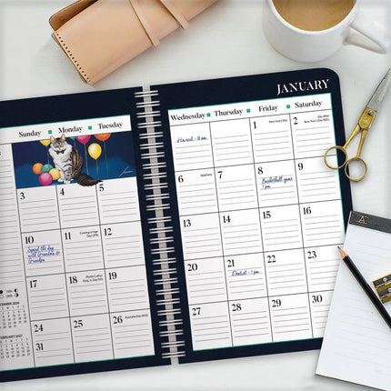 LANG American Cat Agenda 2027