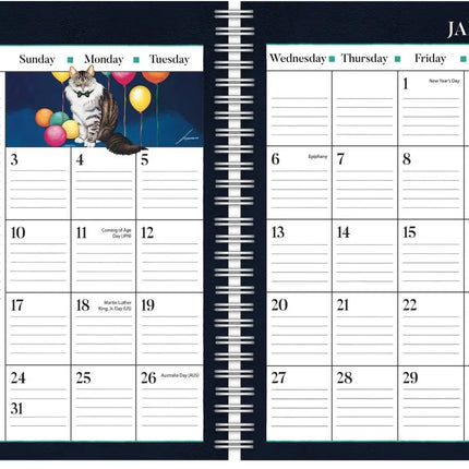 LANG American Cat Agenda 2027