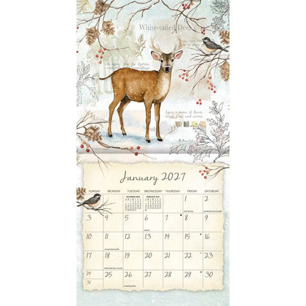 LANG Field Guide Mini Kalender 2027