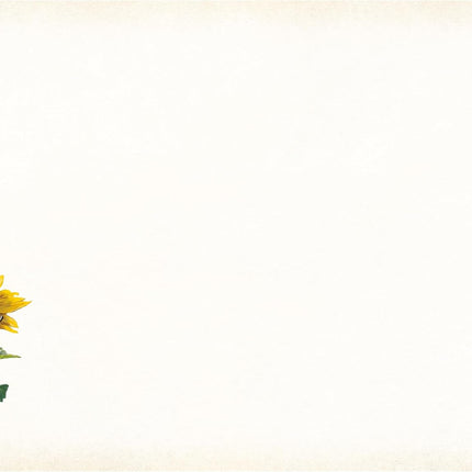 LANG Sunflower Sanctuary Notitiekaarten