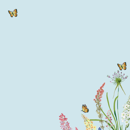Peter Pauper Blooms & Butterflies Notitieblok 250 Vellen