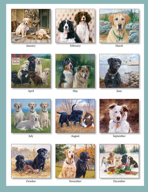 Pine Ridge Must Love Dogs Kalender 2027