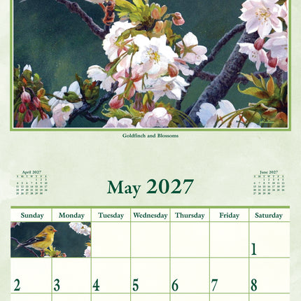 Pine Ridge Wings of Nature Kalender 2027